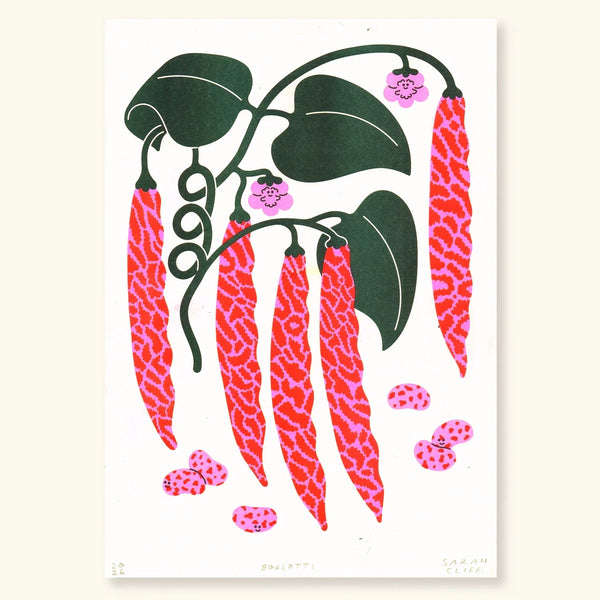A4 illustration print of red and pink berlotti beans and green leaves on a white background