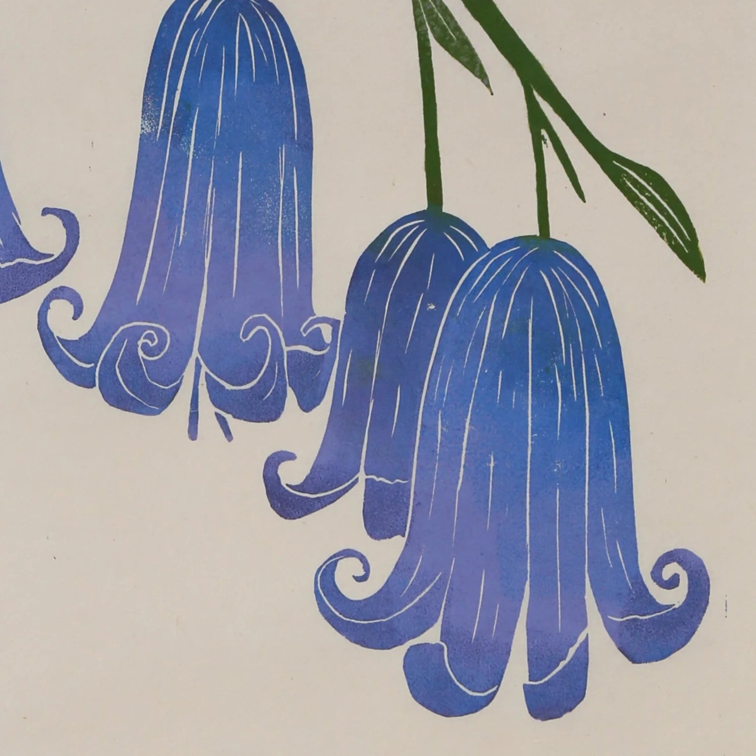 Close up of Print of bluebells by Superfolk, made by block print on japanese washi paper. 
