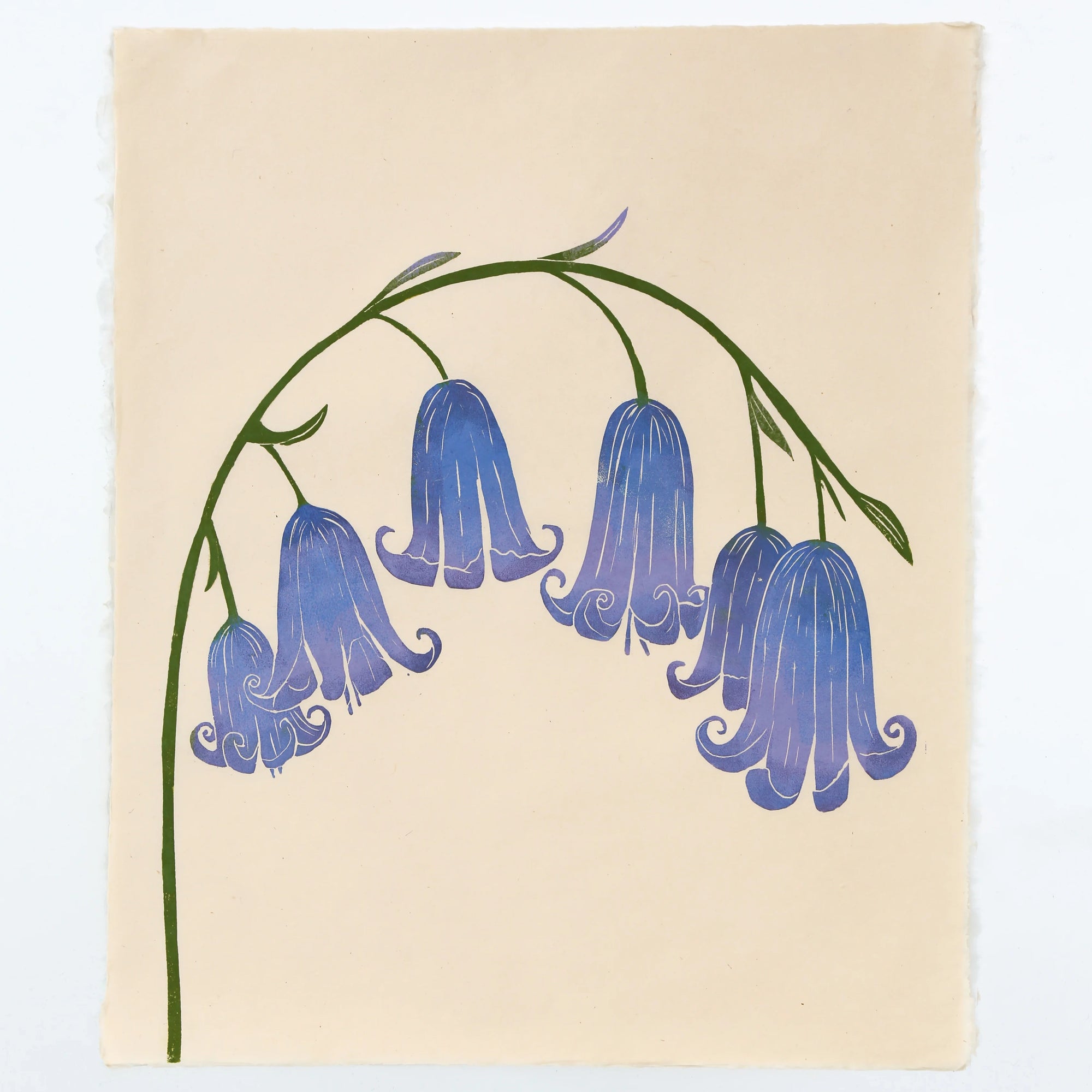 Print of bluebells by Superfolk, made by block print on japanese washi paper. 