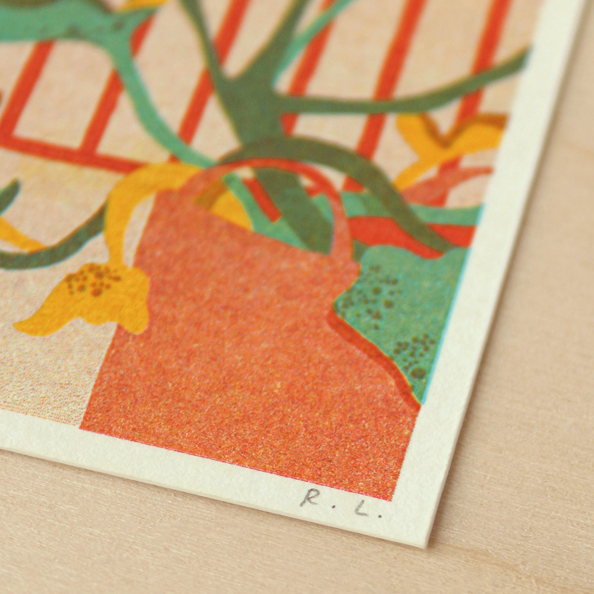 Colorful illustration of a plant on textured paper with 'R.L.' signature.
