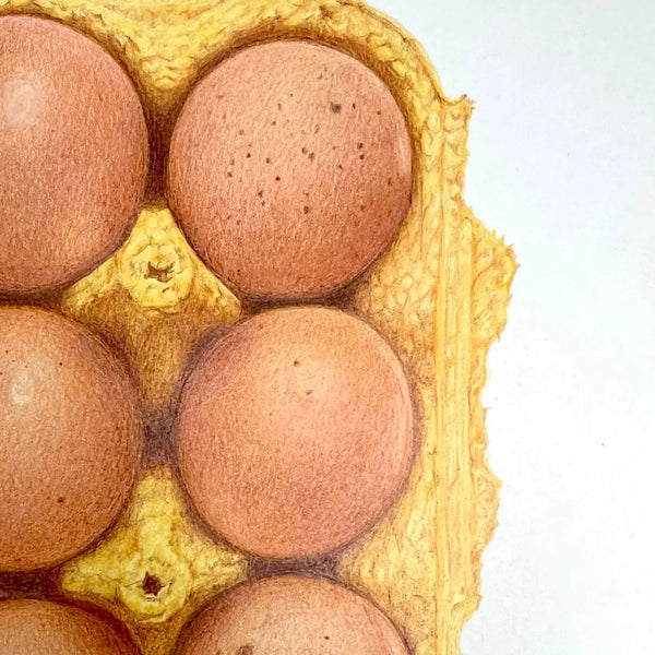 Egg Box Giclée Print A4