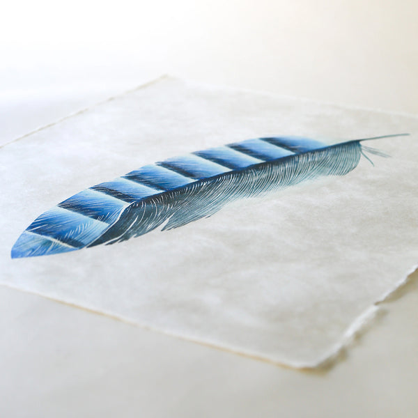 Jay Feather Block Print