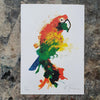 Mini Parrot Screen Print