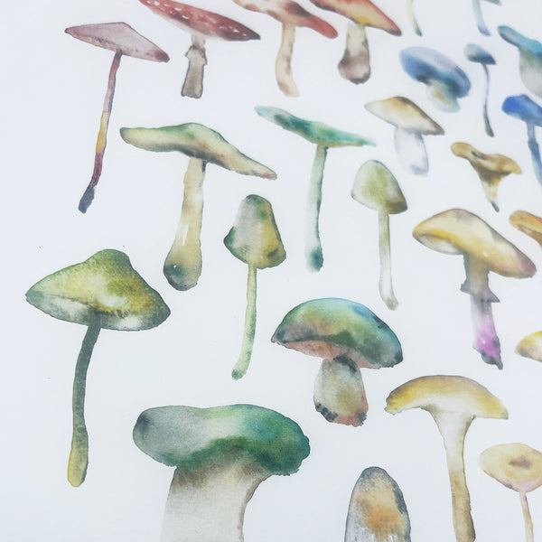 Mushroom Cluster Giclée Print
