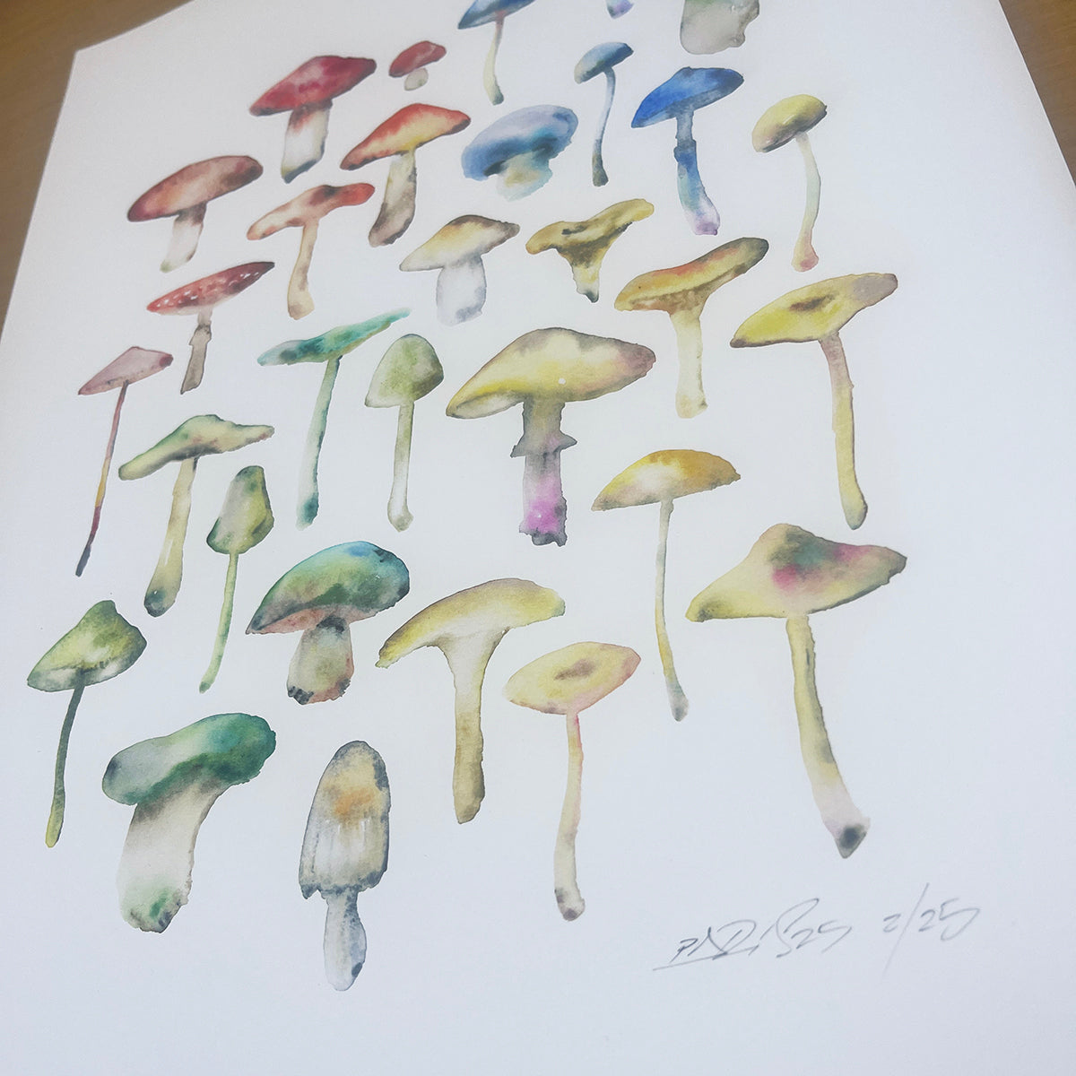 Mushroom Cluster Giclée Print