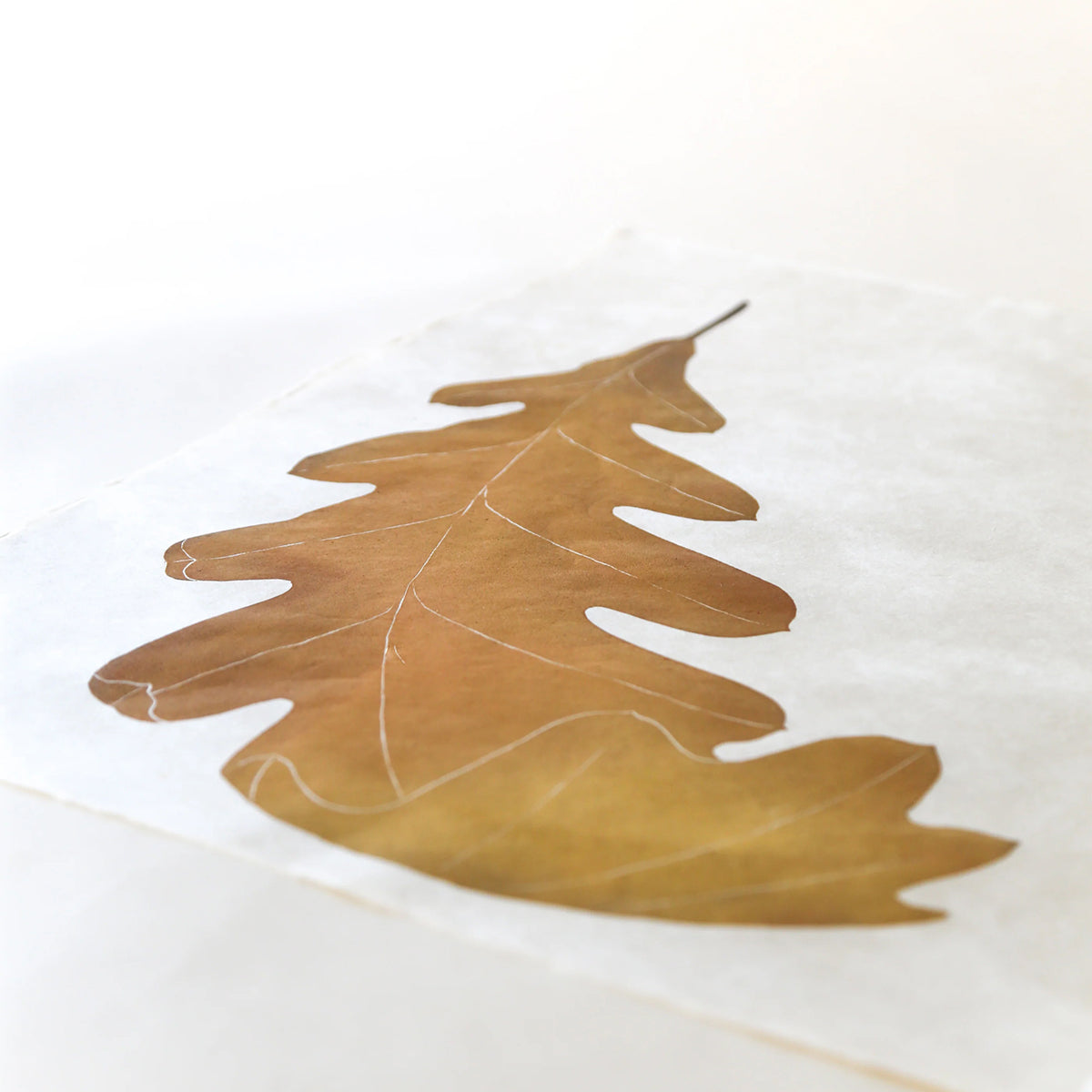Oak Leaf Block Print