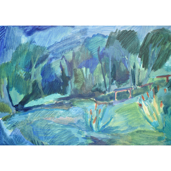 Pathway in Teal, Los Quetzales National Park, Costa Rica