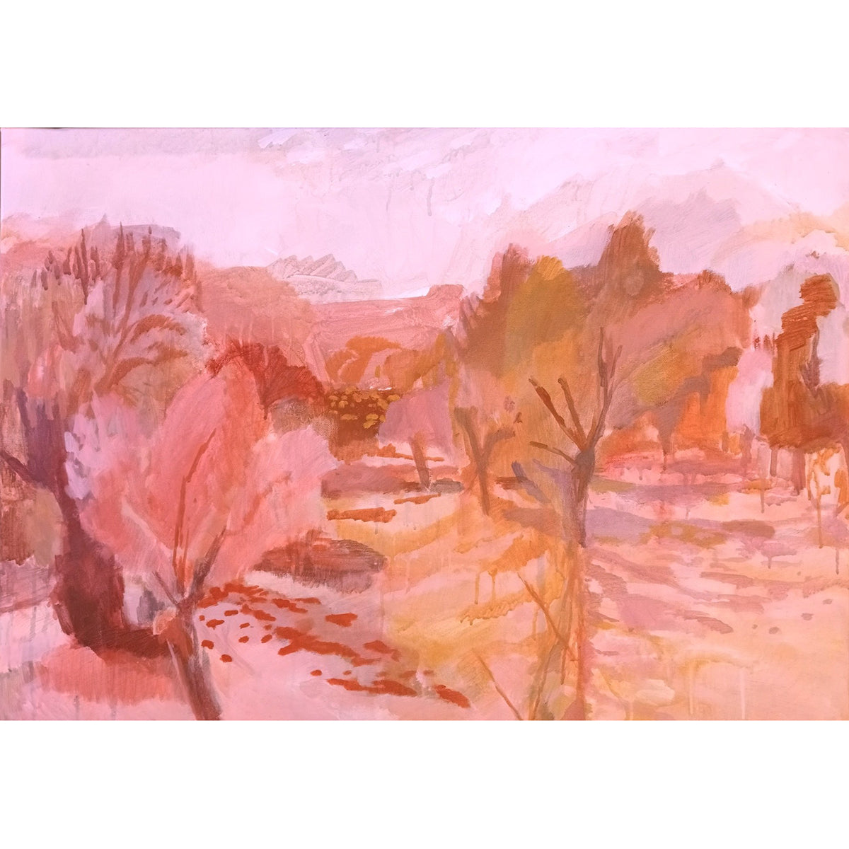 Pink Olive Grove Fornalutx, Mallorca