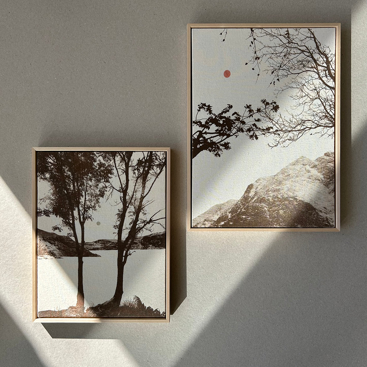 In The First Glow of Light