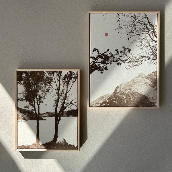 In The First Glow of Light