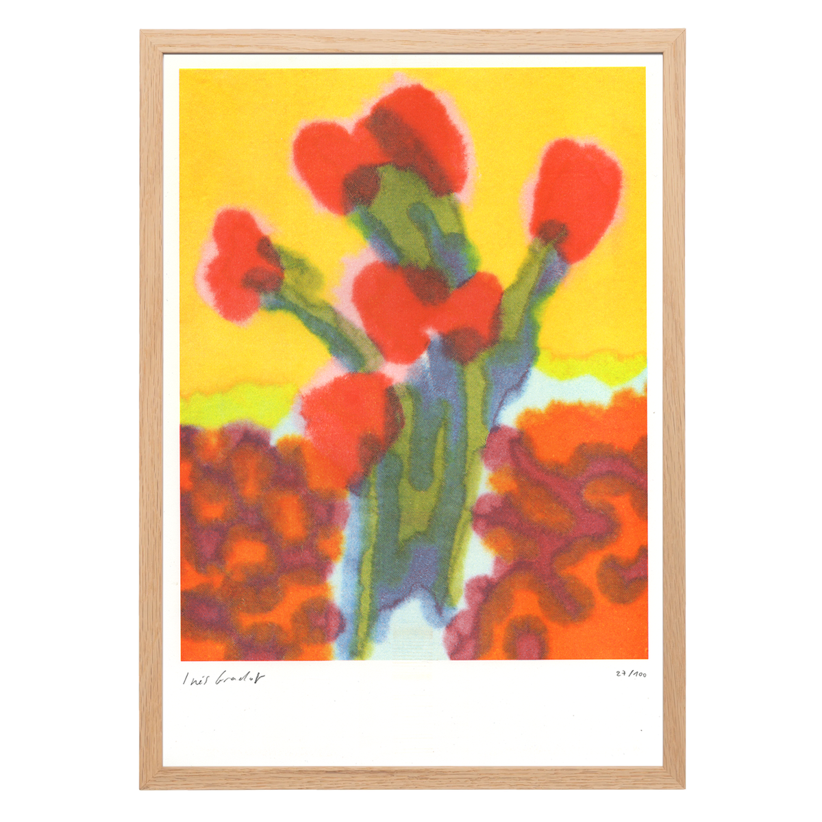 Tulips A3 Risograph Print
