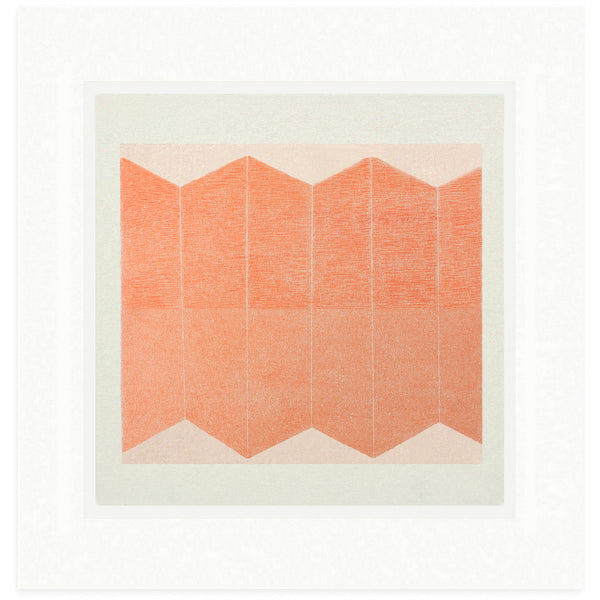 What The Light Uncovers