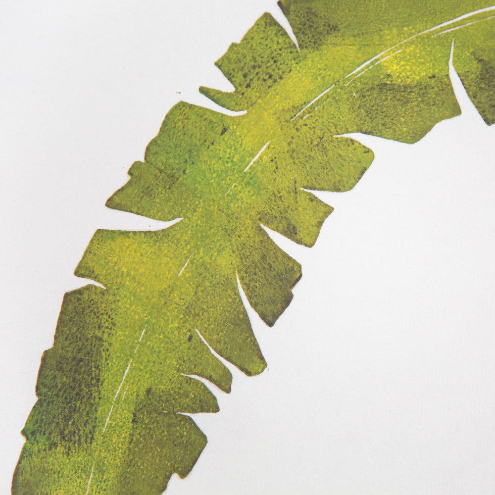 Atlantic Wakame
