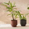 Botany Plant Pot Large Terracotta