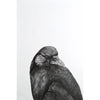 Crow III - Kobi & Teal