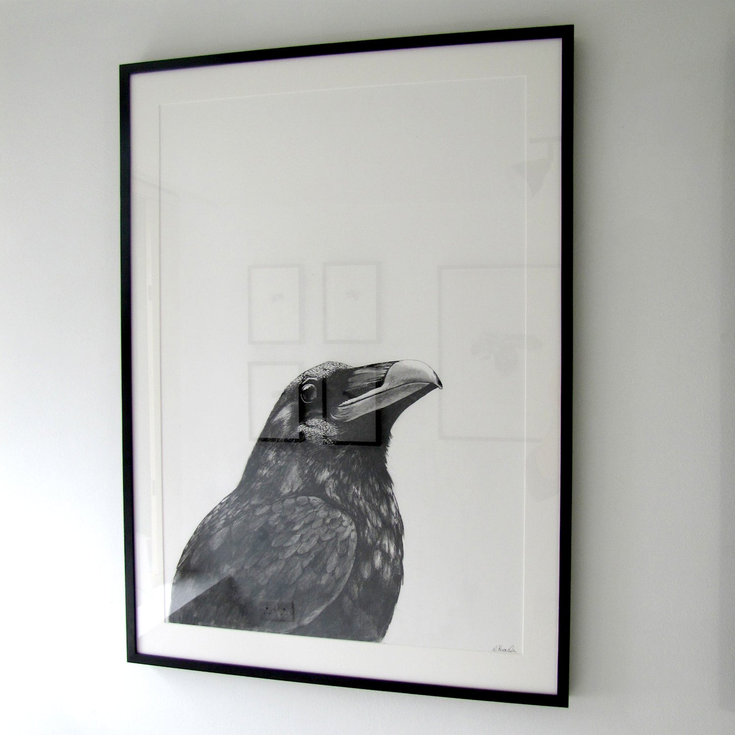 Crow I - Kobi & Teal
