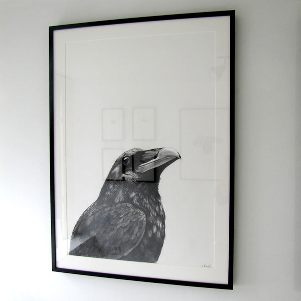 Crow I - Kobi & Teal