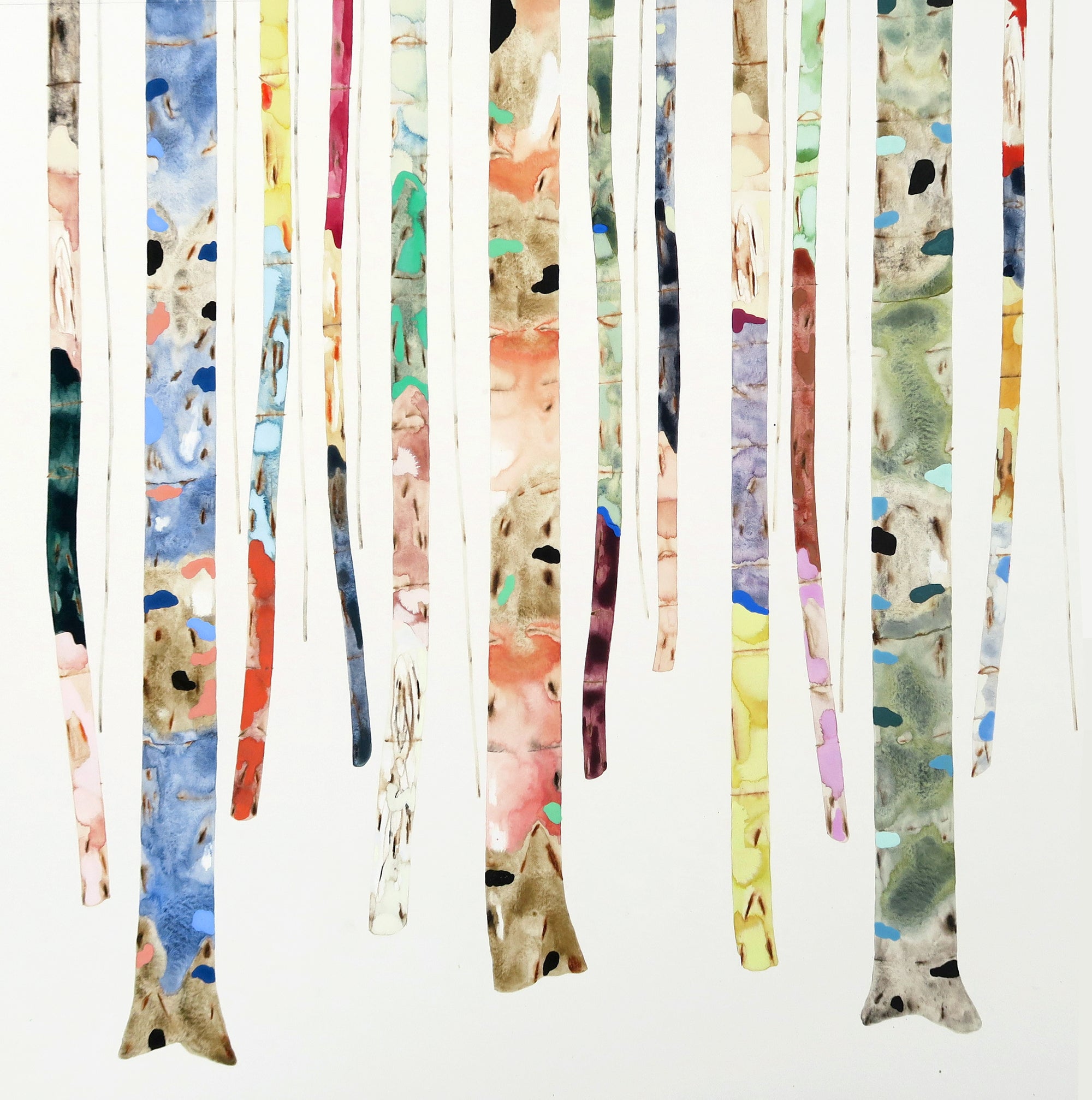 Forest Spectrum