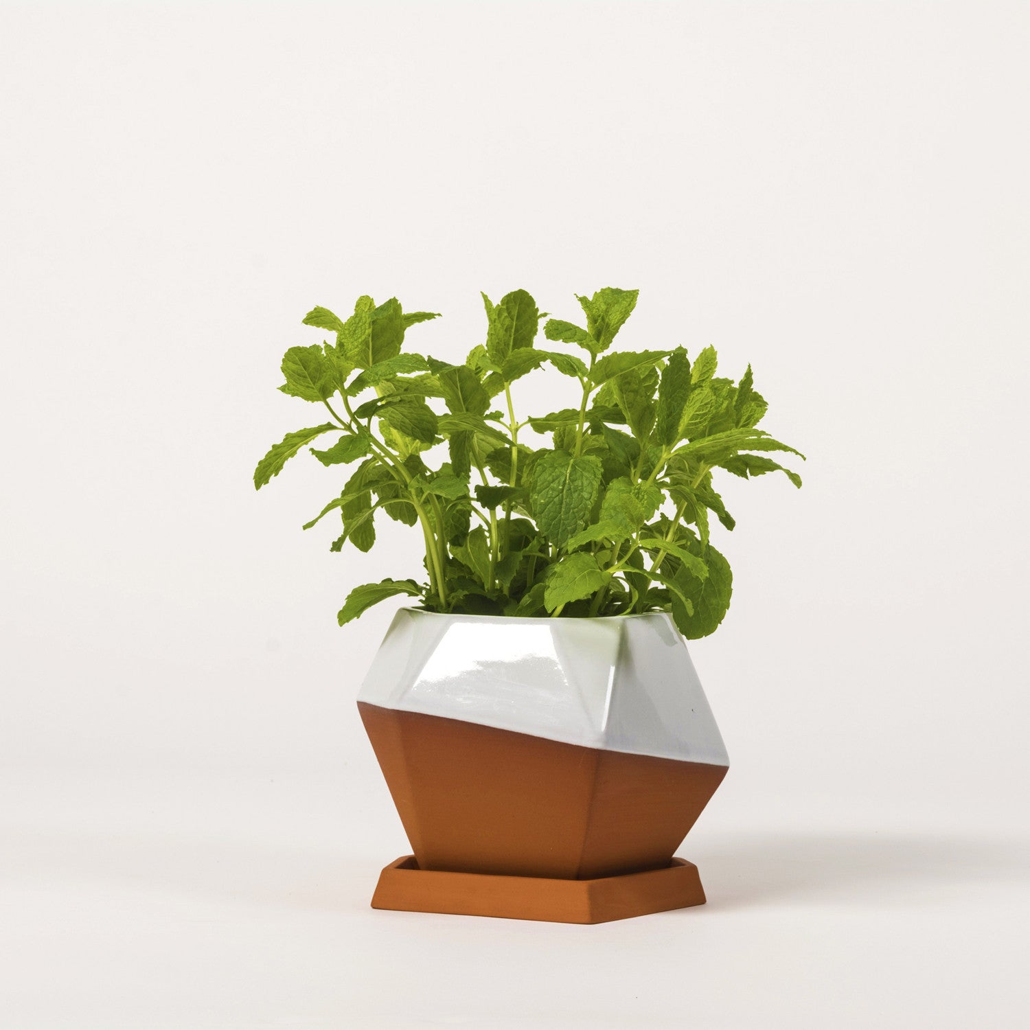 Small Geometric Pot Half-Glazed - Kobi & Teal
