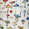 Mushroom Group Giclée Print