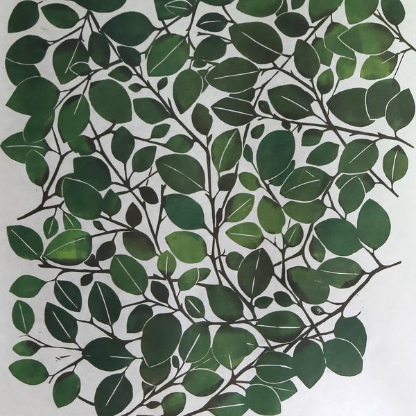 Summer Beech Leaf