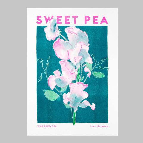 Sweet Pea Illustration Print