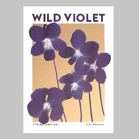 Wild Violet Illustration Print